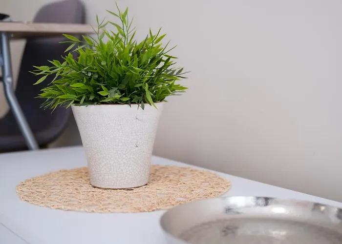 Myflat Wellness 公寓